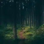 #018 Akým smerom mám kráčať, keď nevidím cestu?